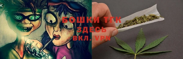 ГАЛЛЮЦИНОГЕННЫЕ ГРИБЫ Белоозёрский