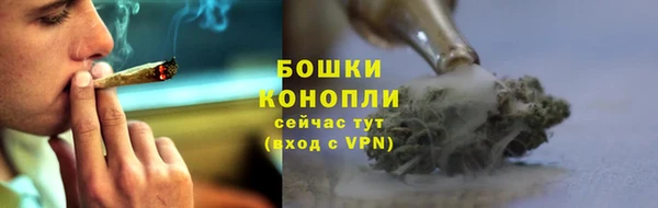 ГАЛЛЮЦИНОГЕННЫЕ ГРИБЫ Белоозёрский