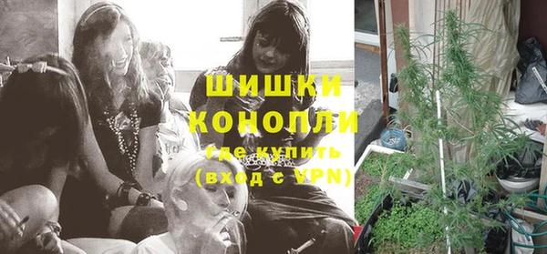 ГАЛЛЮЦИНОГЕННЫЕ ГРИБЫ Белоозёрский